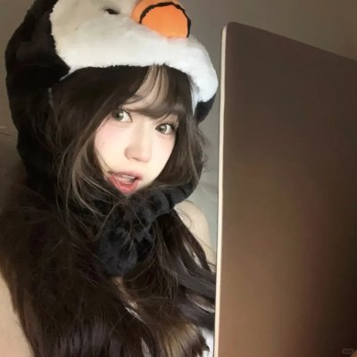 动画纪录